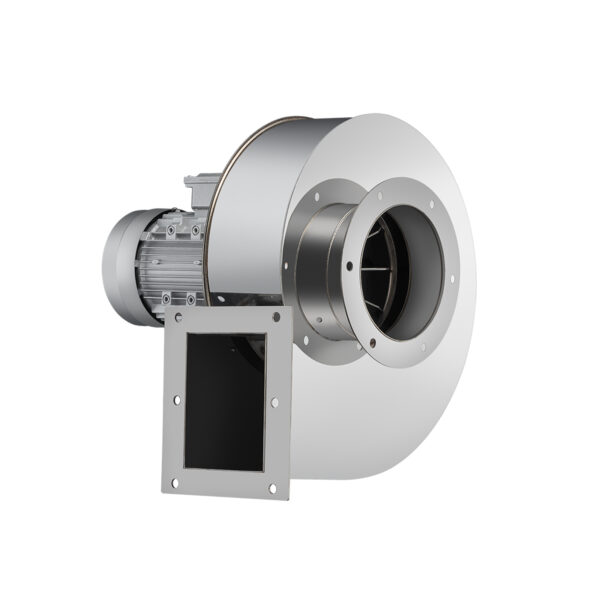 YN5-47 - Image 4