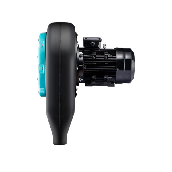 XCJ - Image 4